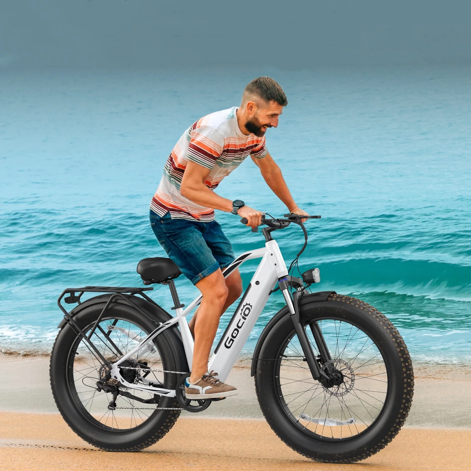Gocio Electric Bike, 26