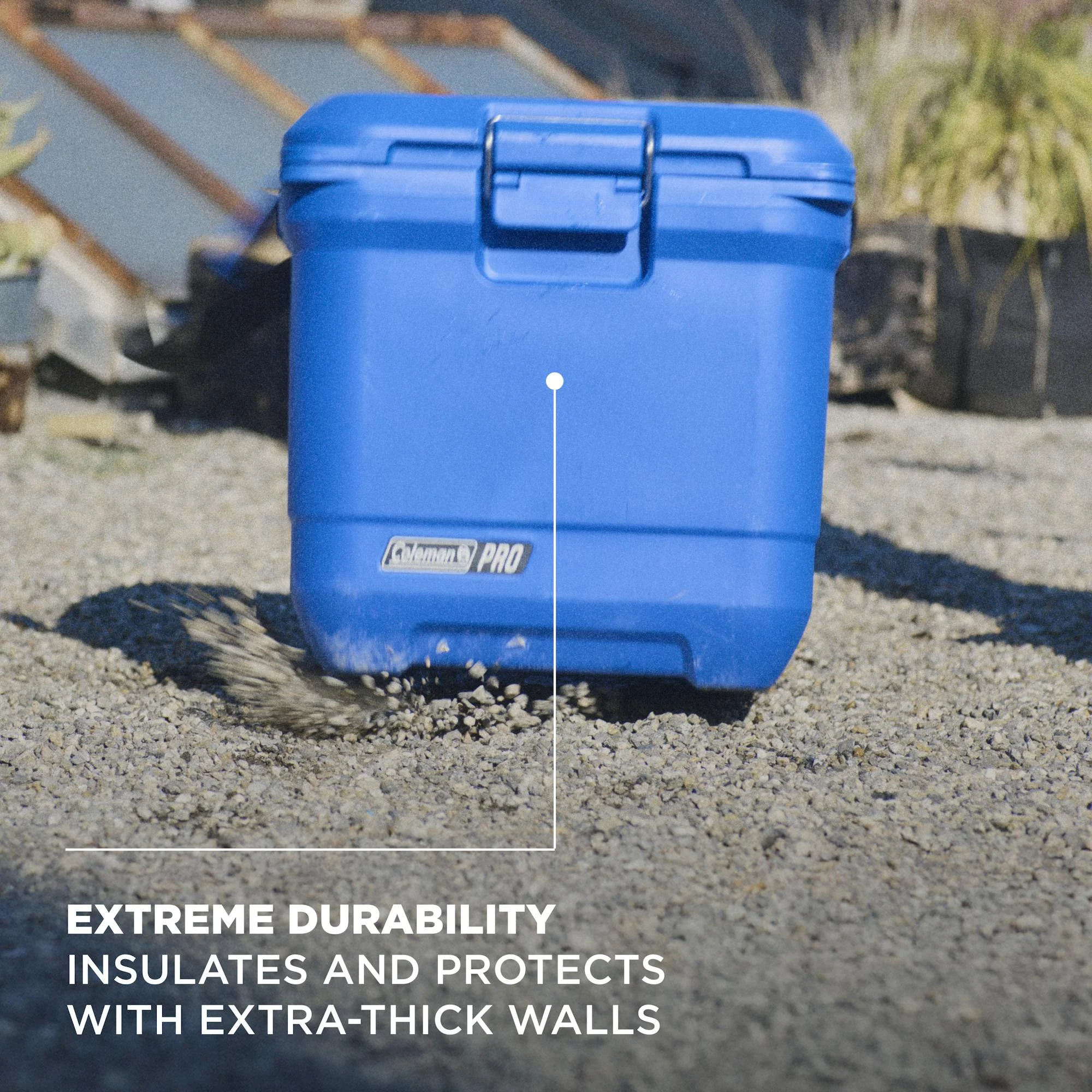 Coleman? Pro 25-Quart Hard Cooler