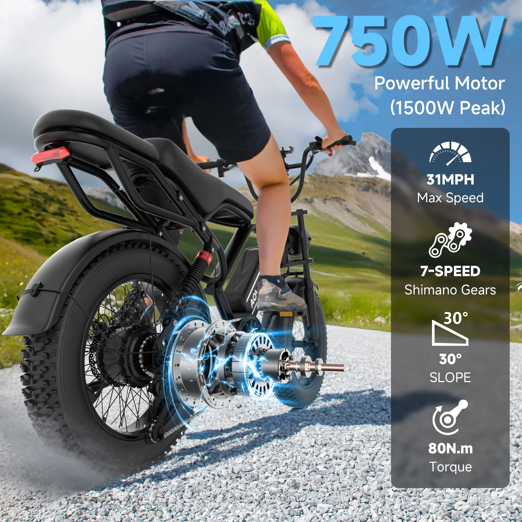 AOVOPRO AP20 Electric Bike for Adults 20 X 4.0 Fat Tire, 750W Off-Road E Bike, E-Mountain Bike 48V 15.6AH UL2849