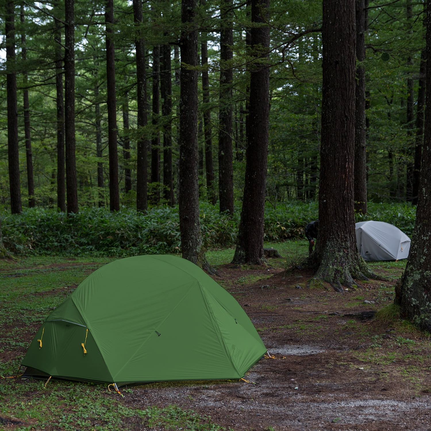 Naturehike Mongar Backpacking Camping Tent 2 Person Lightweight Waterproof with Footprint