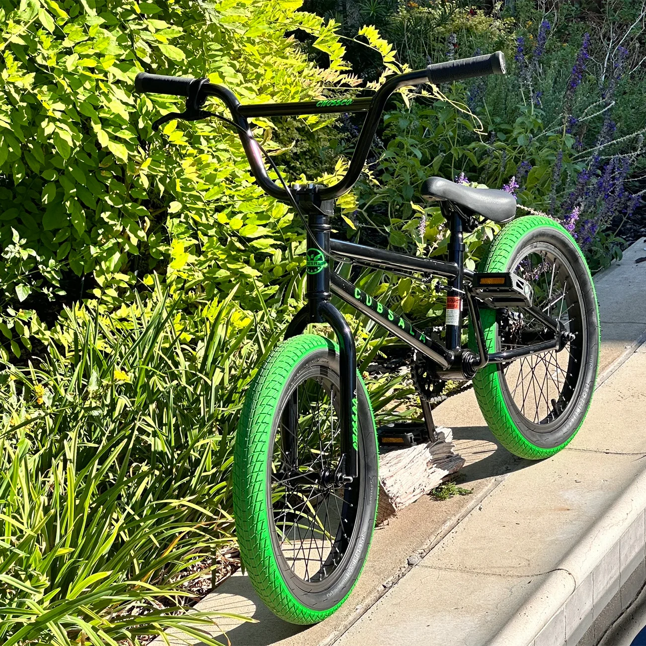 cubsala 20 in Freestyle BMX Kids Bike for Age 6-14 Years Old Boys Girls , Black & Green