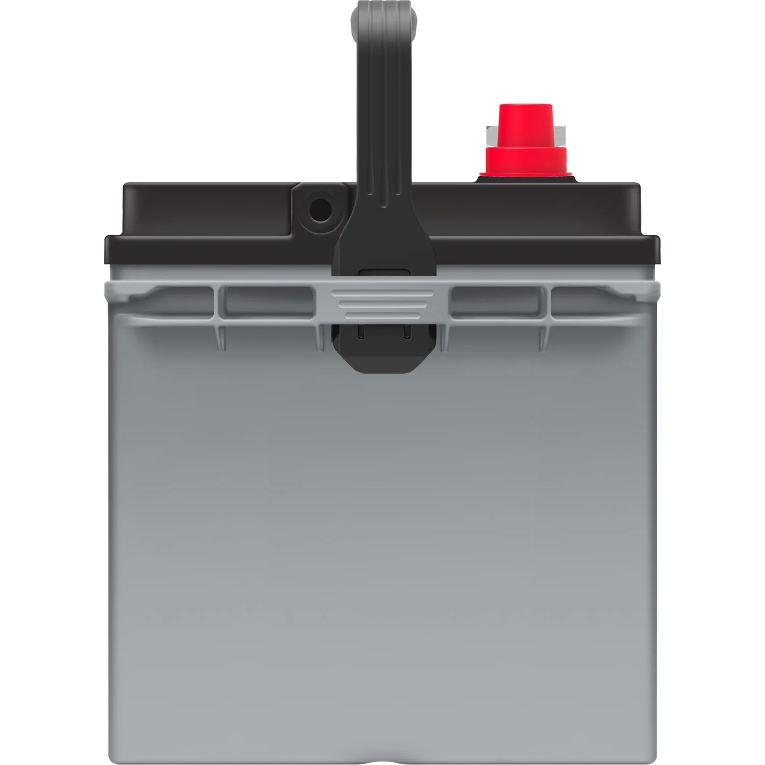 EverStart Platinum BOXED AGM Marine and RV Deep Cycle Battery Group Size 24M, 12 Volt 875 MCA