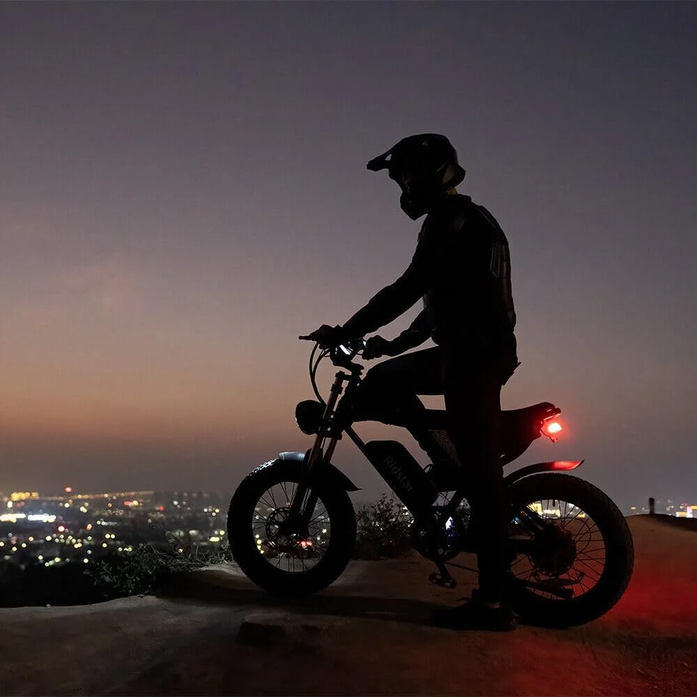 Ridstar Electric Bike for Adults,Peak 1500W 30MPH,48V 15.6Ah Electric Bicycle,Full Suspension Mountain Bike UL2849