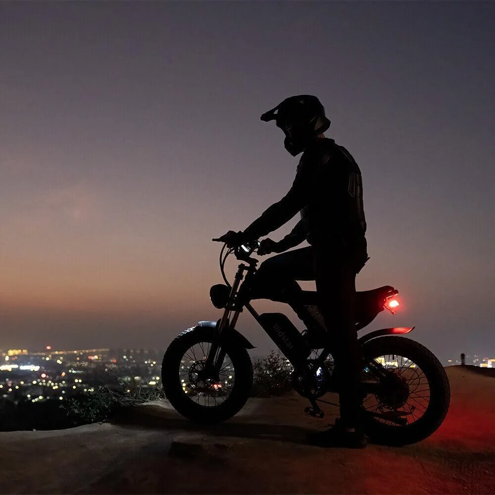 Ridstar Electric Bike for Adults Q20,1200W 30MPH,48V 15.6Ah Electric Bicycle,7 Speed Full Suspension Mountain Bike UL2849