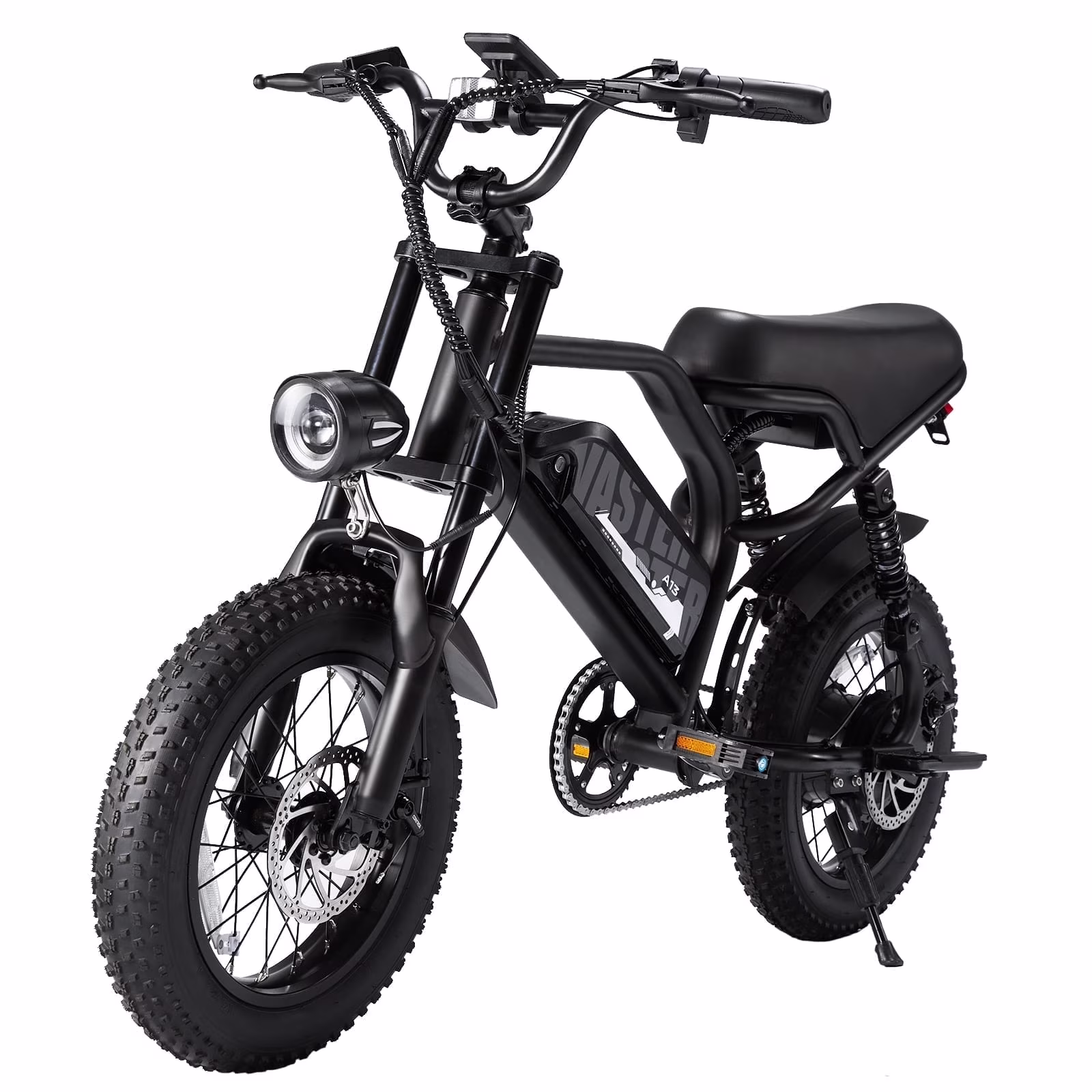 AVDL Electric Bike,16